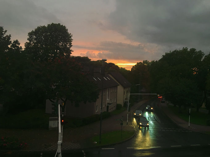 Das Kreuz mit den Vorhersagen