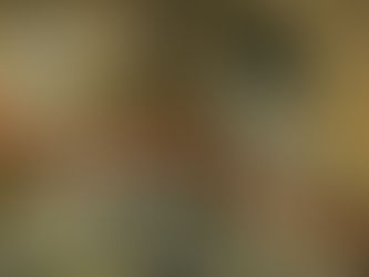 Με την άδεια της Πολεοδομίας χτίστηκε το αμαξοστάσιο του δήμου Μάνδρας