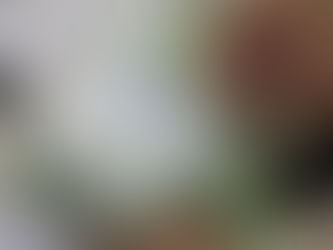 Η πρώτη λοταρία με αποδείξεις! Δώρα 1 εκατομμυρίου ευρώ στους φορολογούμενους