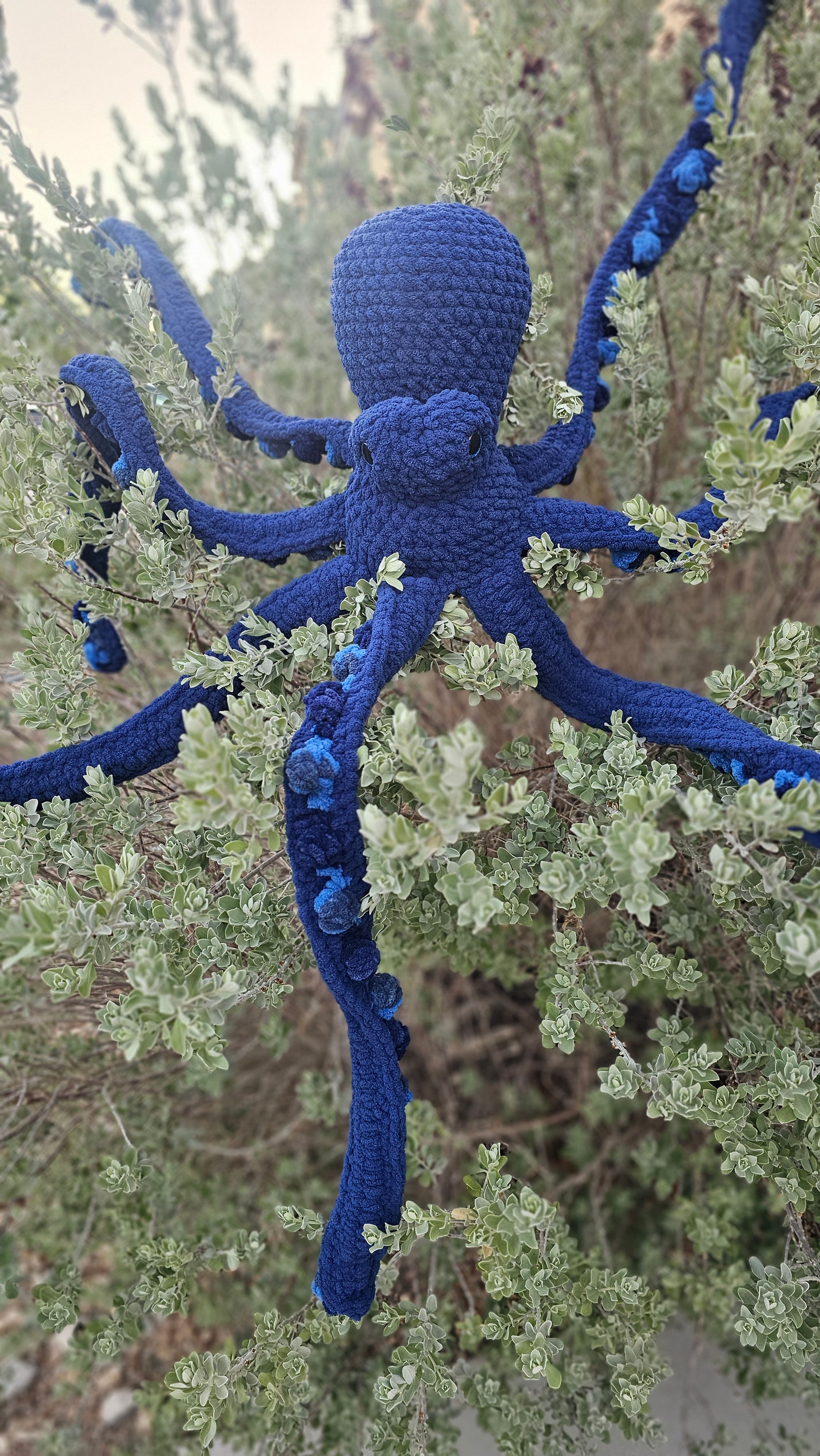 Orion the Giant Octo