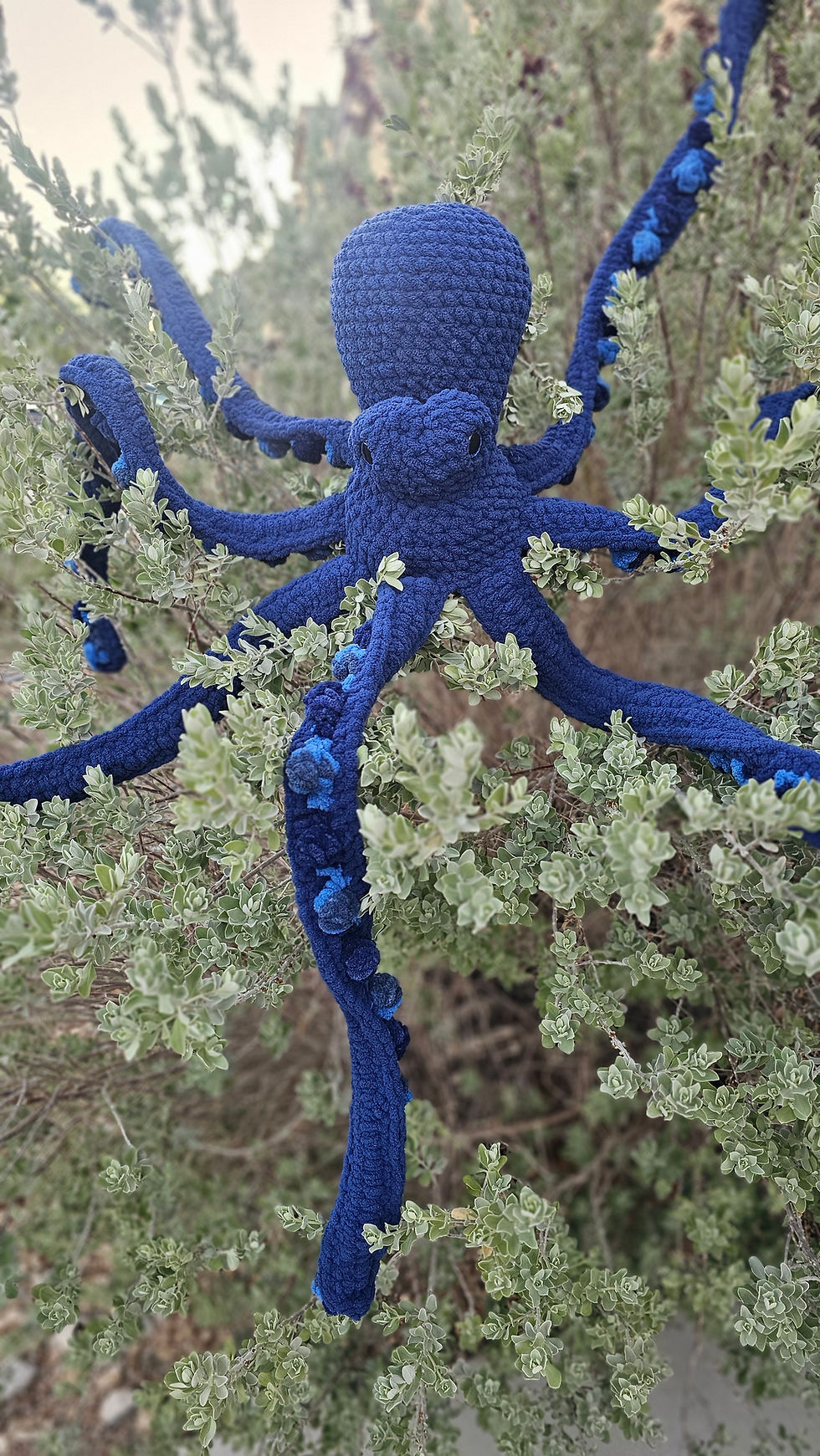 Orion the Giant Octo