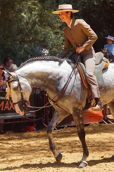 spectacle equestre_edited_edited_edited_