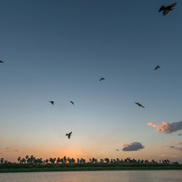 Sunset at Roho Ya Selous
