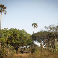 Nature view at Chada Katavi