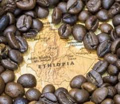 Coffee beans
