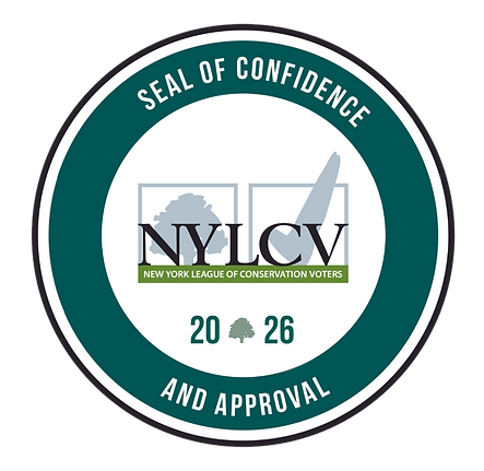 NYLCV - Website Image