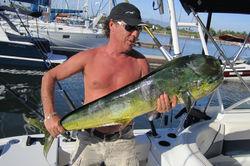 Mahi puerto vallarta
