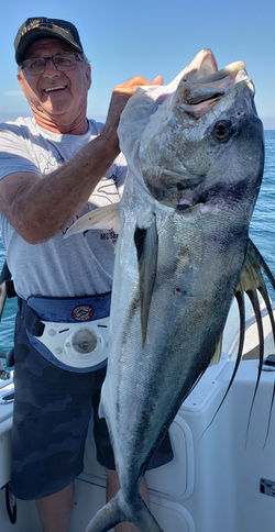 roosterfish poisson coq