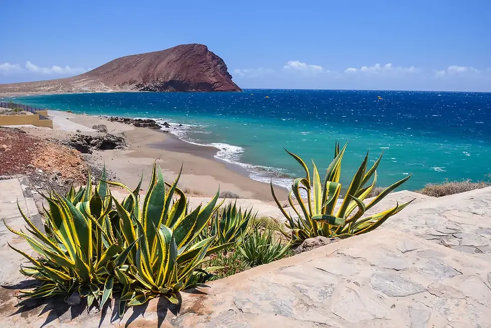 12 of the Best Beaches in Tenerife: Your Ultimate Guide to Sun, Sand, and Serenity