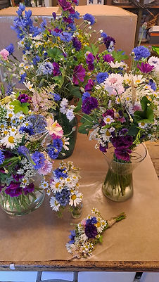 WhatsApp Image 2025-10-12 at 10.50.12 (5).jpeg