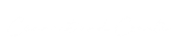 Logo Connect and Create (1).png