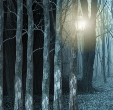 A Mid-Summer’s Fairy Fest_edited.jpg