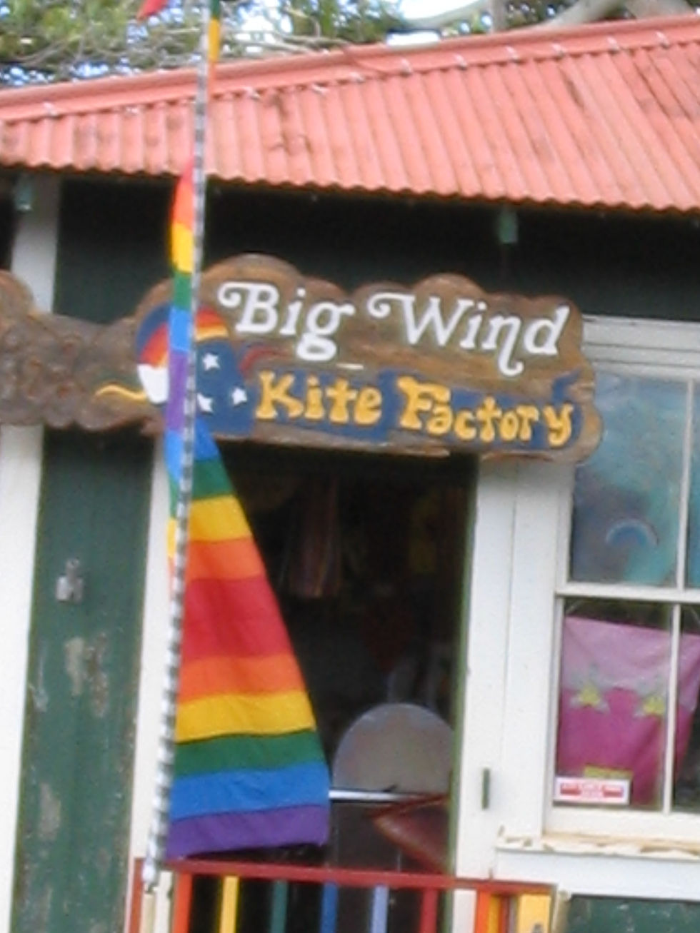 Big Wind Kite Factory