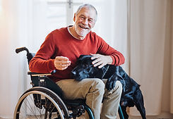 AdobeStock_245959935.jpeg