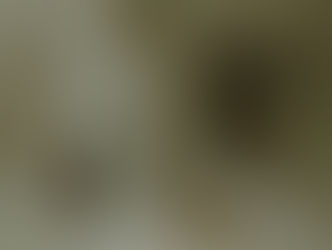 Natural Homemade Glass Cleaner for Your Ardith Frames