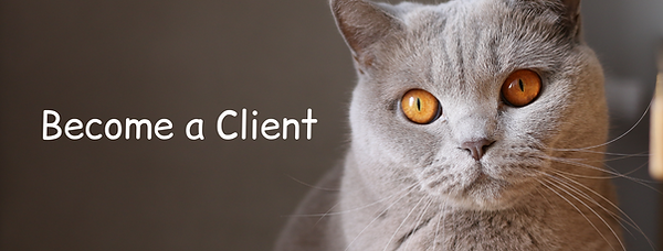 Become a Client (1).png