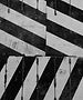 pop-zebra-4q3Ogm3Kt44-unsplash_edited.jpg