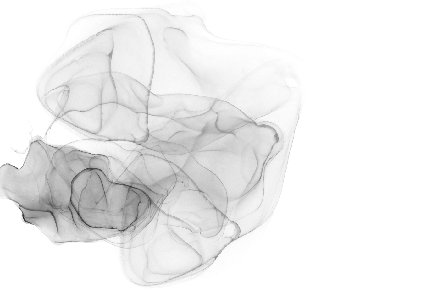 aquarelle-10.png