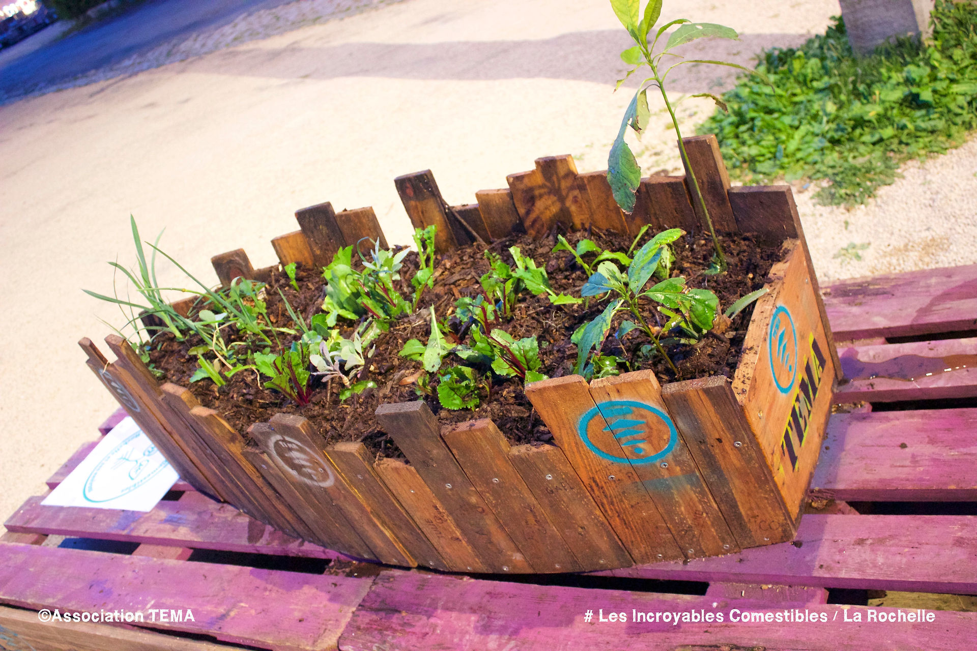 JARDINIÉRE_2016_TEMA_LES_INCROYABLES_COMESTIBLES_5955