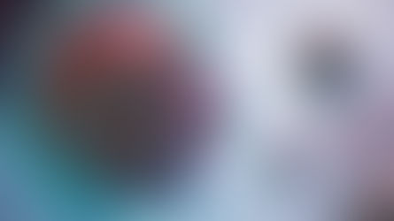 Novo coronavírus é descoberto em morcegos no Brasil e acende alerta para vigilância sanitária