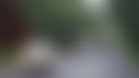 Serra Dona Francisca ficará fechada nesta sexta-feira; confira o horário