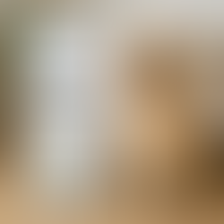 FID TECH 空氣清新機(寵物版)