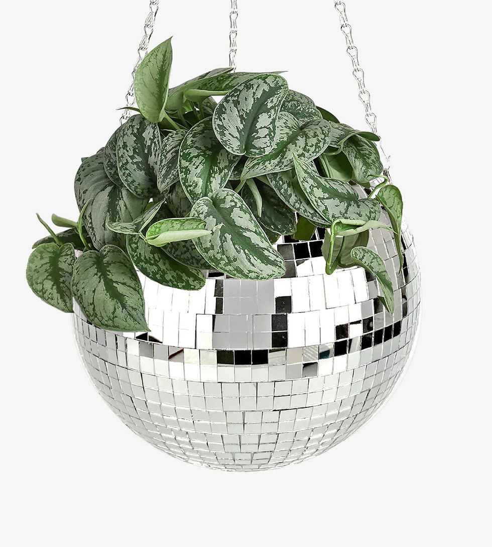 Thumbnail: Disco Ball Planter