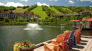 Blue Mountain Resort מאת אבי