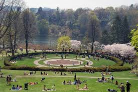 High park toronto מאת ענת