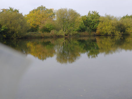 Last Call - updates 16/11