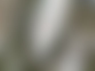 And ... they're off!