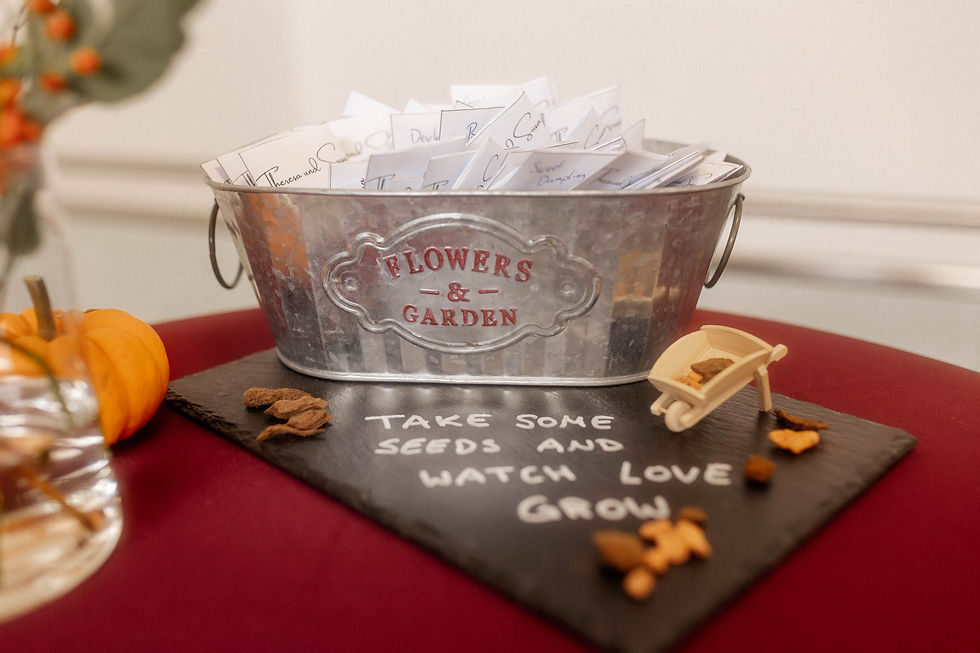 Samen als Gäst:innengeschenke. // Seeds as guest favors.