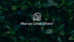 What are Carbon Offsets?