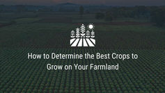 How to Determine the Best Crops to Grow on Your Farmland