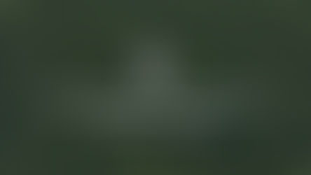 Land Use Restrictions & Implications During Carbon Leases