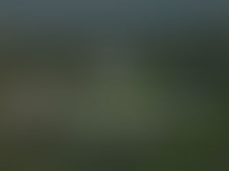 What You Can Learn About a Property Without Visiting It