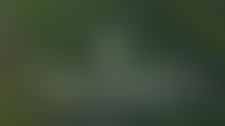 Quick Turn vs. Long Hold: Which Land Flipping Strategy Works Best?