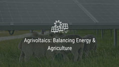Agrivoltaics: Balancing Energy & Agriculture