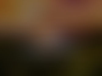 Largest Landowners in the United States 2026