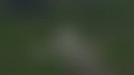 The Benefits of Owning Rural Land