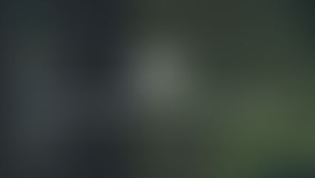 Tips for Navigating Online Property Listings