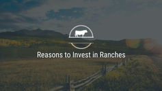 Reasons to Invest in Ranches