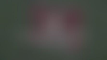 How to Price Land for Sale by Owner