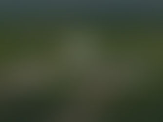 Land Flipping Process and Strategies