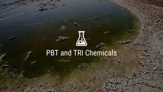 What are PBT and TRI Chemicals?