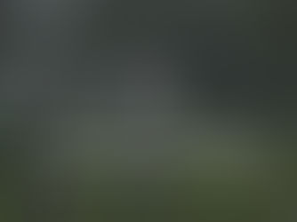 How to Sell Vacant Land:Tips for Landowners and Realtors