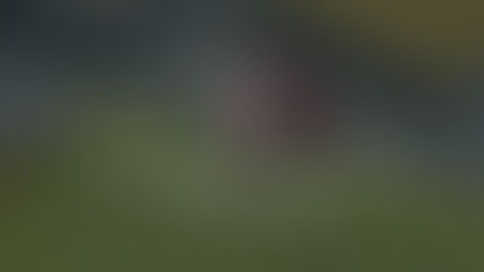 What Is Property Assessor Data? A Complete Guide