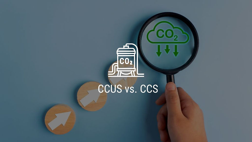 graphic of a hand holding a magnifying glass with the words 'CO2' written in green lettering