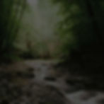 Photograph of a water property with a river