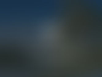 All About Conservation Easements